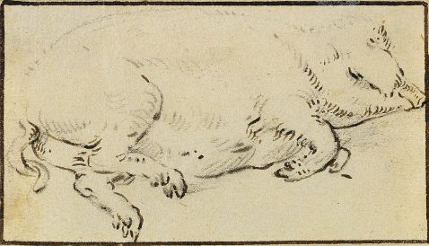 Cornelis Saftleven - zugeschrieben - Schlafendes Schwein