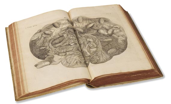 Hieronymus Fabricius ab Aquapendente - Opera omnia anatomica et physiologica. Leipzig 1687 - Altre immagini