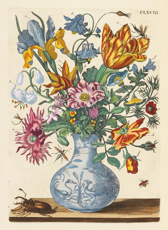 Maria Sibylla Merian - De europische Insecten. 1730 - Altre immagini