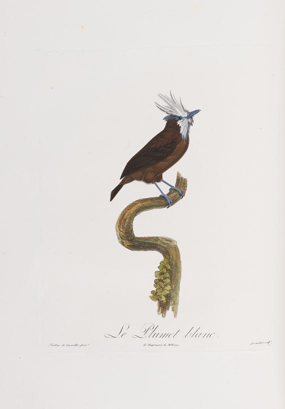 Anselme-Gaetan Desmarest - Histoire naturelle des Tangaras, des Manakins et des Todiers. 1805-07. - Altre immagini