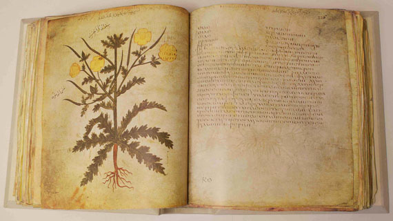 Dioscorides - Codex Vindobonensis. 2 Bde. 1965-70