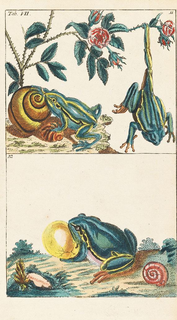 Gottlieb Tobias Wilhelm - Naturgeschichte, 1834. 27 Bde. - Altre immagini