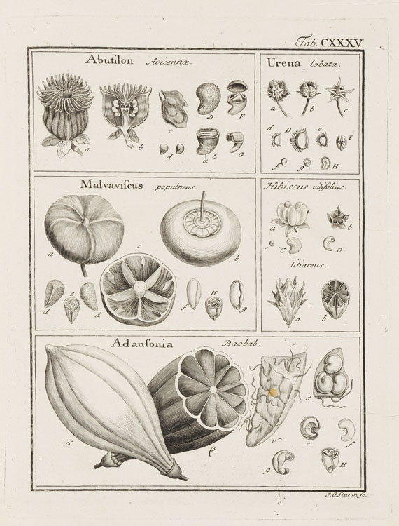 Joseph Gaertner - De fructibus. 1788-1850. 3 Bde.