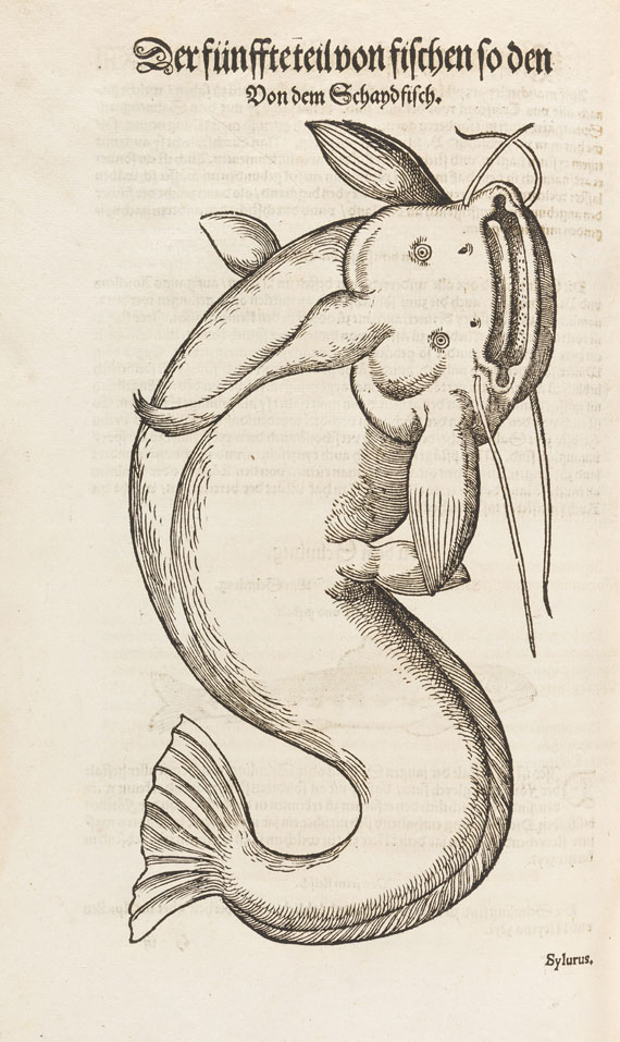 Conrad Gesner - Vogel-, Thier-, Fisch- und Schlangenbuch, 1575-89. - Altre immagini