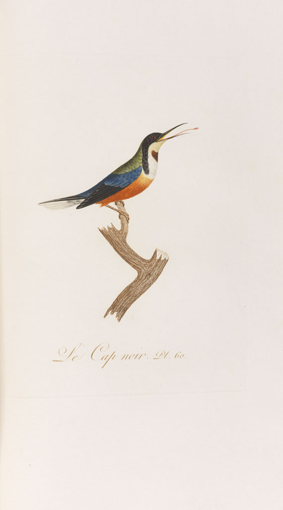Jean Baptiste Audebert - Oiseaux dorés ou reflets métalliques. 1802. 2 Bde.. - Altre immagini