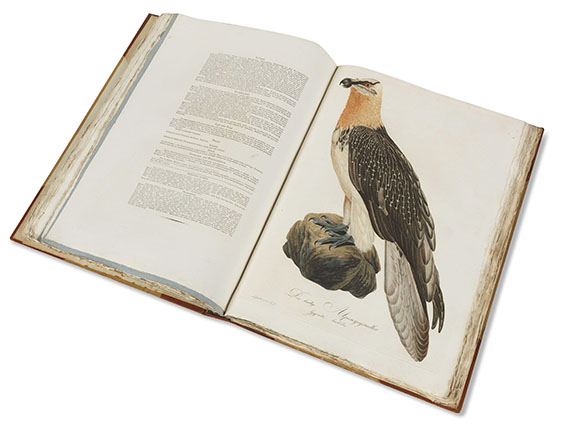 Johann Conrad Susemihl - Teutsche Ornithologie. 1800-1817. 2 Bde.. - Altre immagini