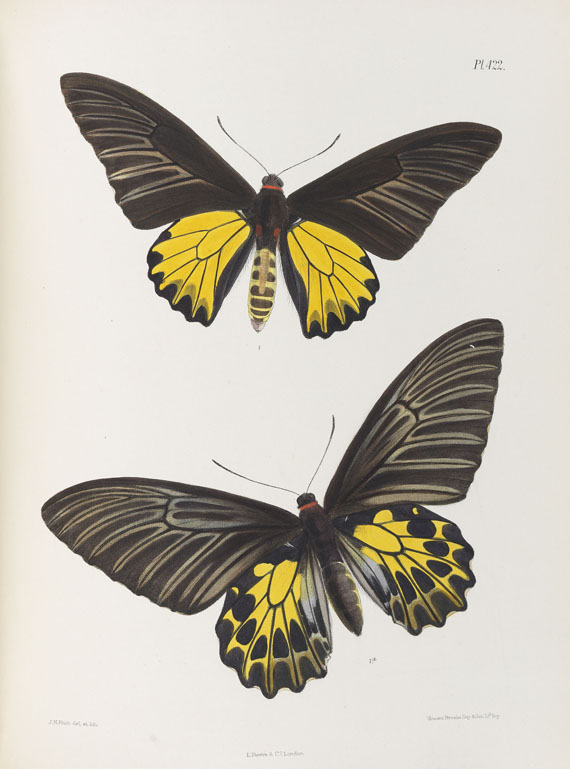 Frederic Moore - Lepidoptera Indica. 1890-1913. 10 Bde.. - Altre immagini