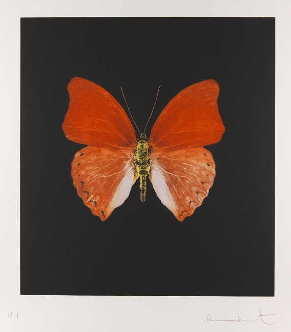 Hirst - Butterfly