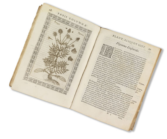 Fabius Columna - Phytobasanos sive Plantarum. 1592. - Altre immagini