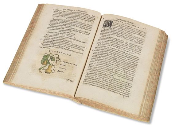 Theoderich Dorsten - Botanicon. 1540. - Altre immagini