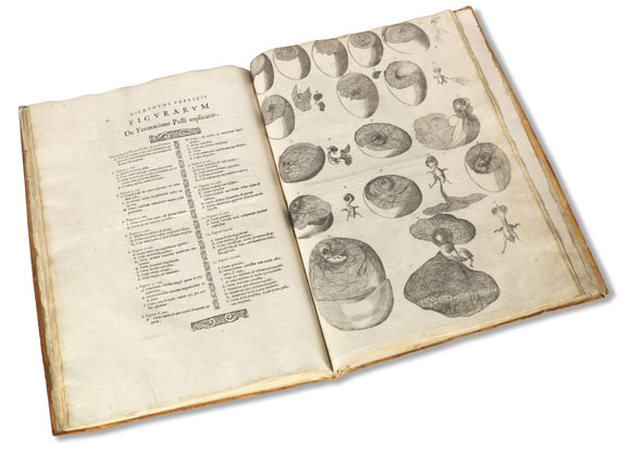 Hieronymus Fabricius ab Aquapendente - De formatione ovi. 1621. - Altre immagini