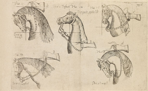  Pferde - Lieb, Chr. J., Practica et arte di cavalleria. - Altre immagini