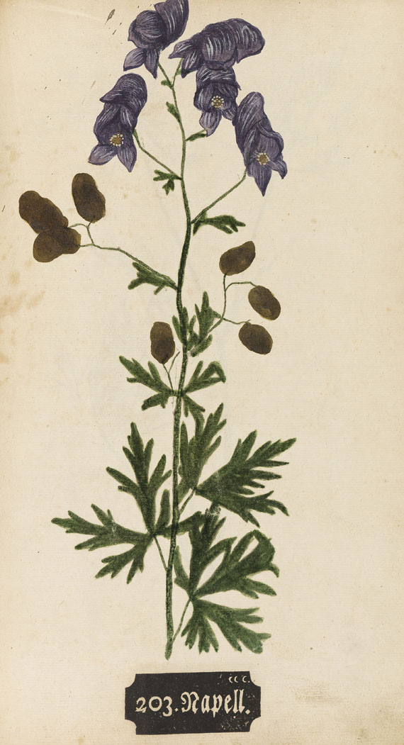   - Kniphof, J. H., Botanica in originali pharmaceutica. 1733. - Altre immagini
