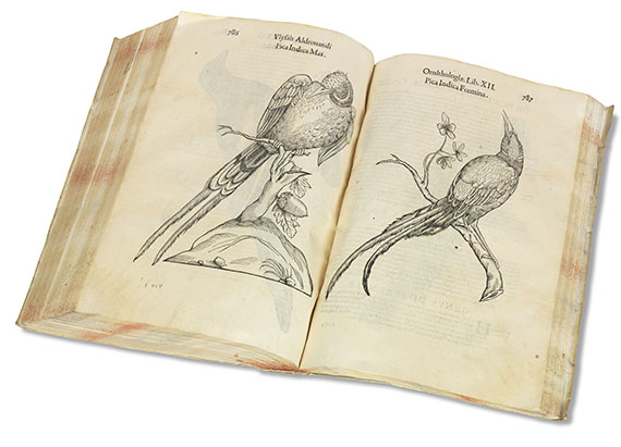 Ulisse Aldrovandi - Ornithologiae. 1599 - Altre immagini