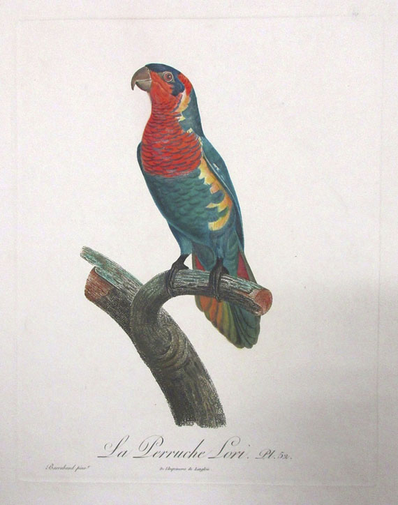  Vögel - Ca. 90 Bll. Papageien, Paradiesvögel, Kolibris. - Altre immagini