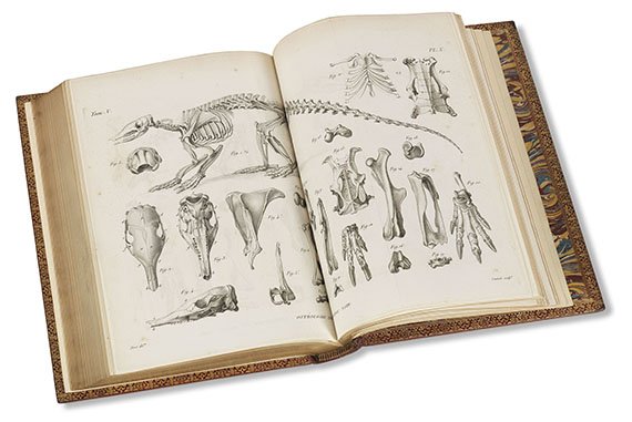 Georges Cuvier - Recherches sur les ossemens fossiles. 7 Bde. - Altre immagini