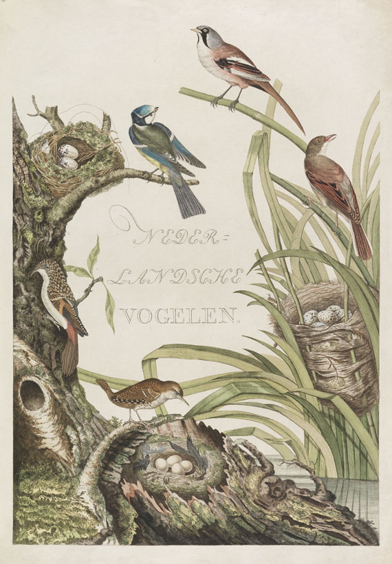 Cornelius Nozeman - Nederlandsche vogelen. 5 Bände, ungebunden in Kassetten - Altre immagini