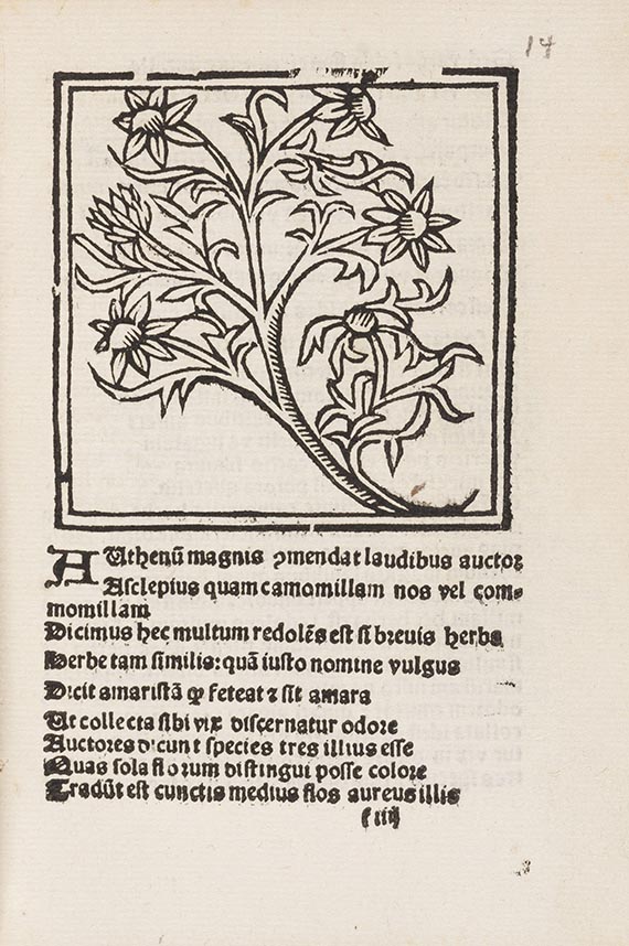  Macer Floridus - Herbarum varias - Altre immagini