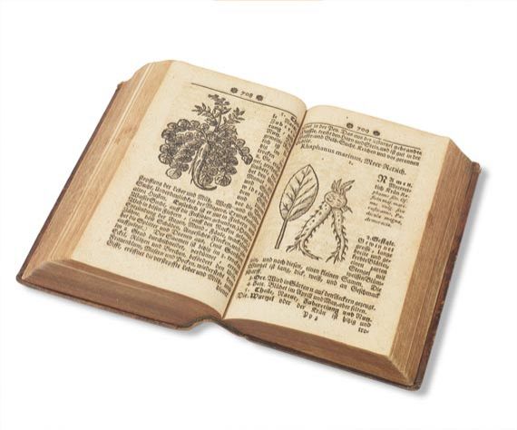 Samuel Müller - Curioser Botanicus, Oder: Sonderbahres Kräuter-Buch. 1730 - Altre immagini