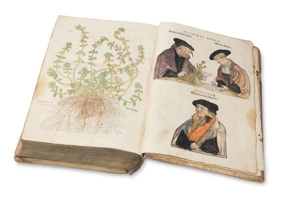 Leonhart Fuchs - De Historia stirpium. 1542. - Altre immagini