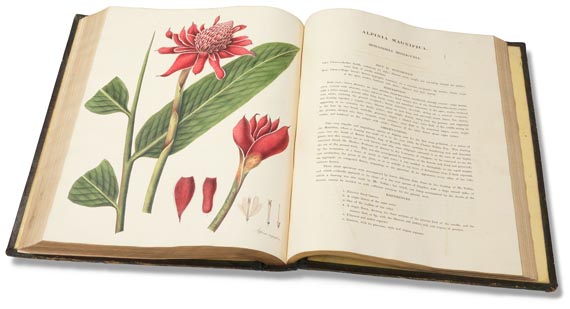 William Roscoe - Monandrian Plants, 1828. - Altre immagini