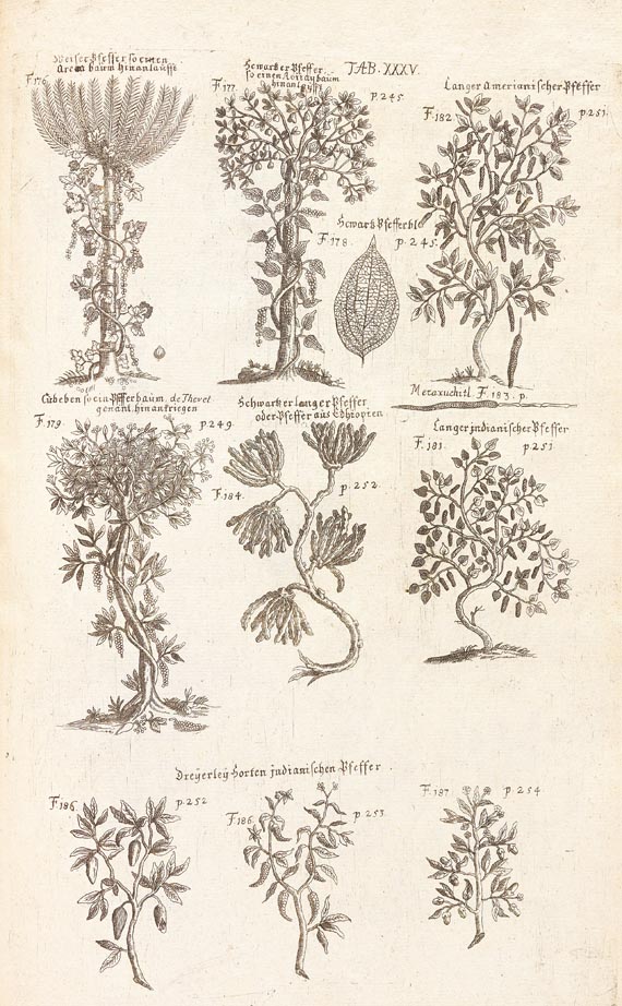 Pierre Pomet - Materialien- u. Naturalien-Magazin, 1727 - Altre immagini