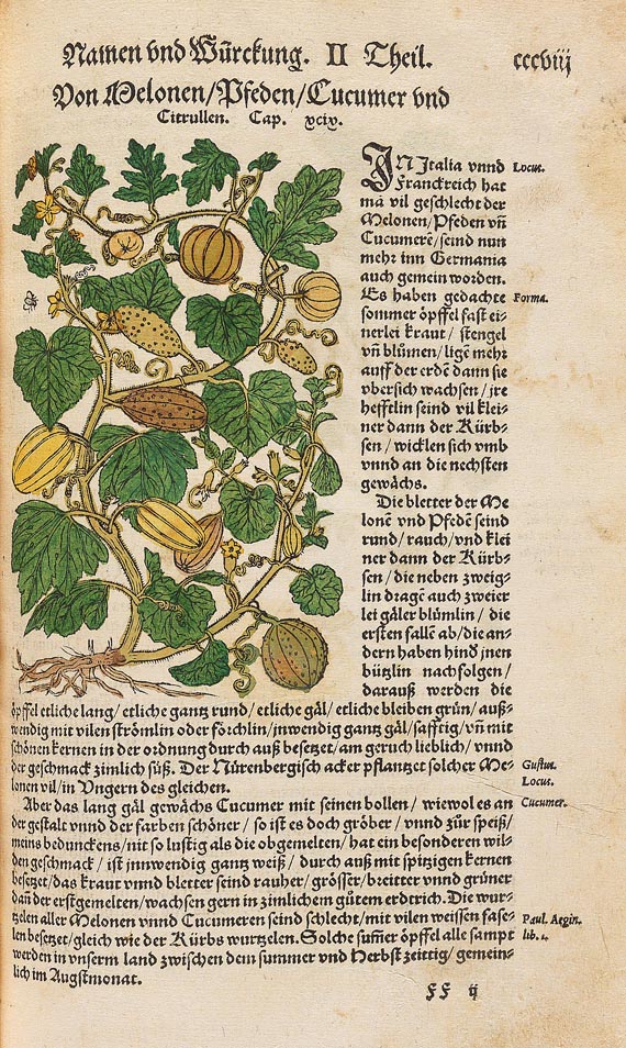 Hieronymus Bock - Kräuter Buch, 1630 - Altre immagini