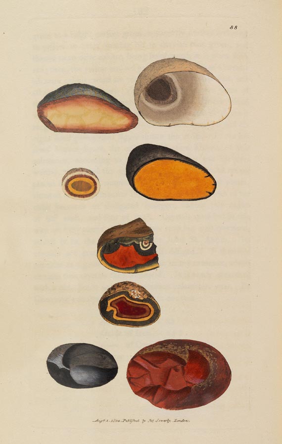James Sowerby - British Mineralogy, Bd. 1, 1804 - Altre immagini