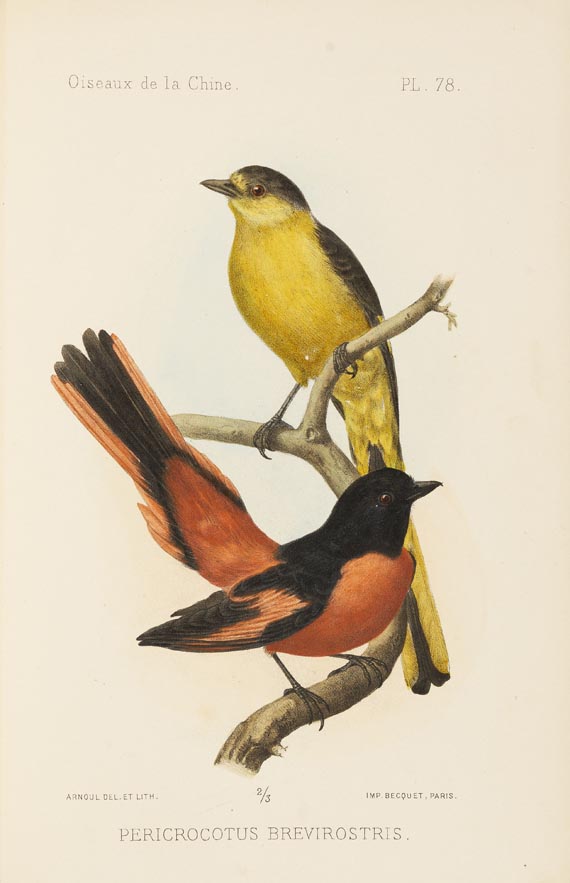 Armand David - Oustalet, Les oiseaux de la Chine. 1877. 2 Bde. - Altre immagini