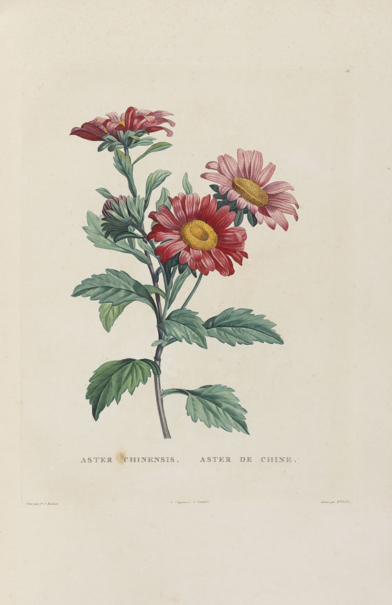 Jean-Jacques Rousseau - La botanique, 1805. - Altre immagini