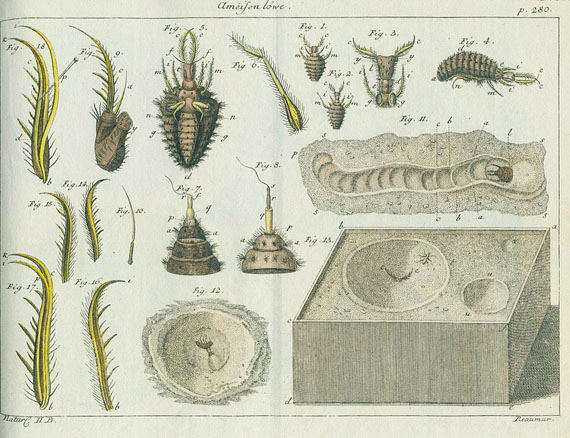 Naturlexikon - Sammelband aus Wilhelm (Anzeige Naturlexikons)