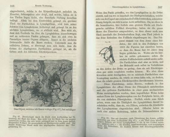 Rudolf Virchow - Die Cellularpathologie. 1858