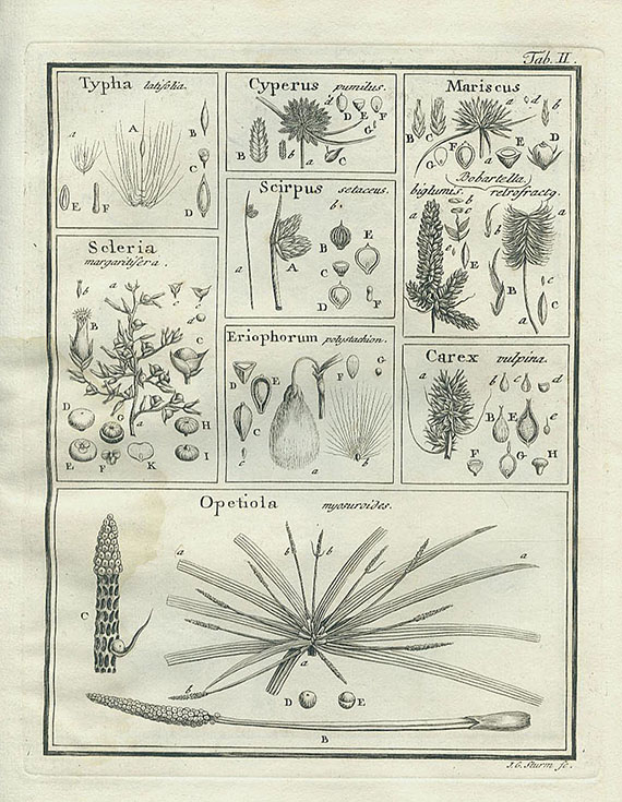 Joseph Gaertner - De fructibus et  seminibus plantarum. 2 Bde. (von 3) 1788-91