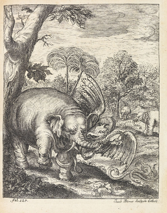 Petri von Hartenfels - Elephantographia curiosa. 1715. - Altre immagini