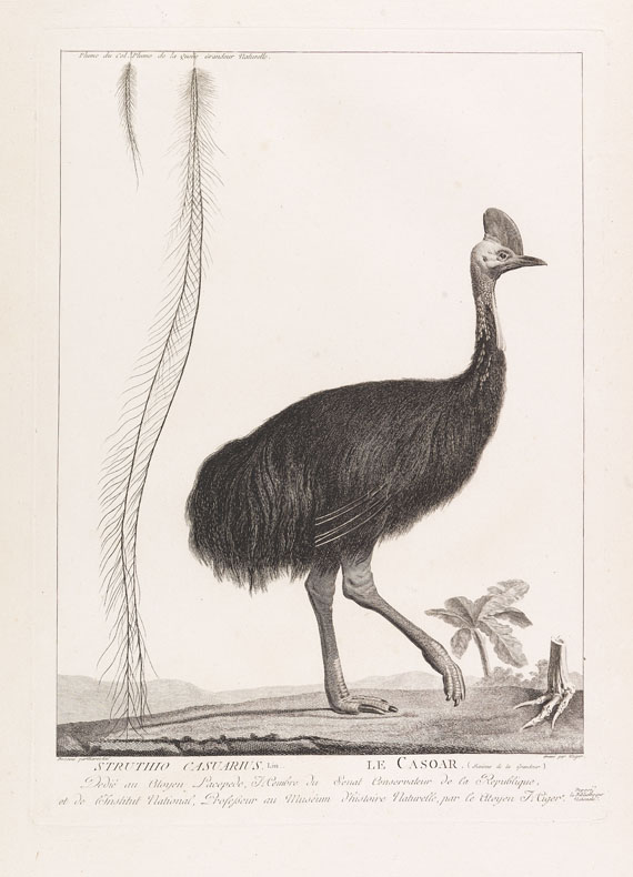 B. G. E. de Lacépède - La ménagerie du Museum National d`Histoire Naturelle. 1800-1801. - Altre immagini