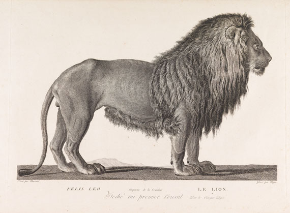 B. G. E. de Lacépède - La ménagerie du Museum National d`Histoire Naturelle. 1800-1801. - Altre immagini