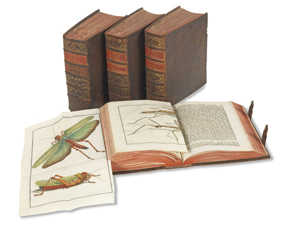 August J. Rösel von Rosenhof - Insecten-Belustigung. 4 Bde. 1759-92 - Altre immagini