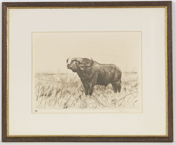 Wilhelm Kuhnert - 3 Bll.: Ruhende Löwen. Afrikanisches Nashorn. Elch - Cornice