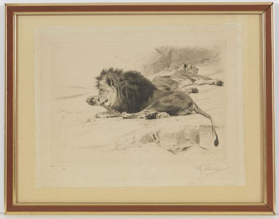 Wilhelm Kuhnert - 3 Bll.: Ruhende Löwen. Afrikanisches Nashorn. Elch - Cornice