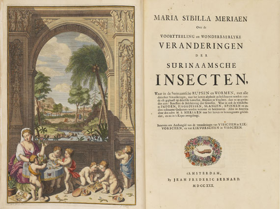 Maria Sibylla Merian - Surinaamsche Insecten. Amsterdam 1730 - Altre immagini