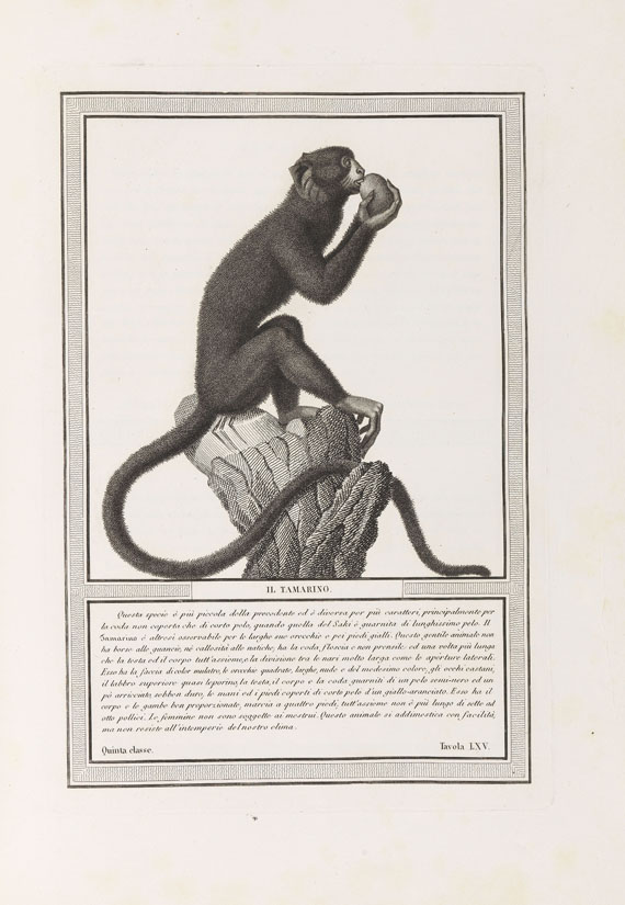 Nicolas Henri Jacob - Storia naturale. 1812 - Altre immagini
