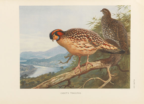 William Beebe - A monograph of the pheasants. 4 Bde. - Altre immagini