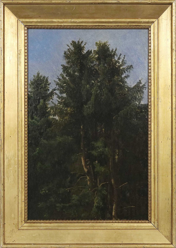 Christian Friedrich Gille - Baumstudie - Hohe Nadelbäume im Waldesdickicht - Cornice