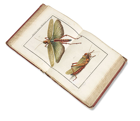 August Johann Rösel von Rosenhof - Insecten-Belustigung, 4 Bde., dazu Kleemann, Beyträge zur Naturgeschichte, 2 Bde. in 1, zusammen 5 Bde. - Altre immagini