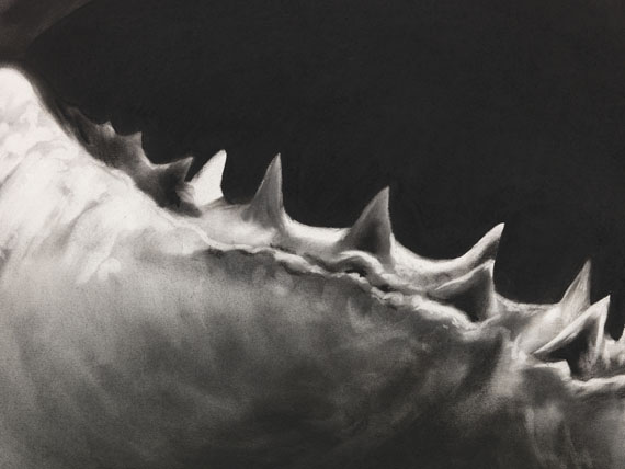 Robert Longo - Untitled (Shark 15) - Altre immagini