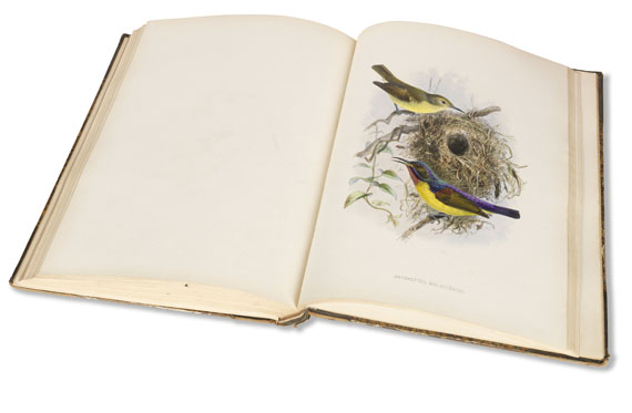 George Ernest Shelley - A monograph of the Nectariniidae, or sun birds - Altre immagini