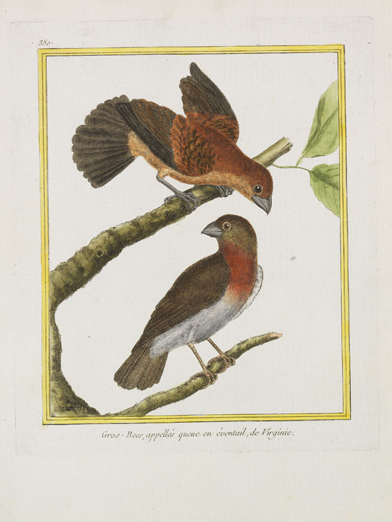 Georges Louis Leclerc Buffon - Histoire naturelle des oiseaux. 3 Kassetten