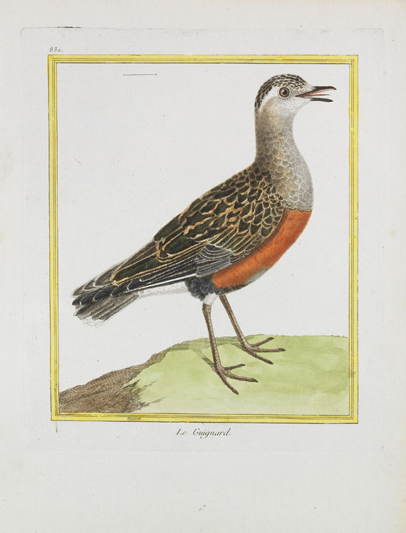 Georges Louis Leclerc Buffon - Histoire naturelle des oiseaux. 3 Kassetten - Altre immagini