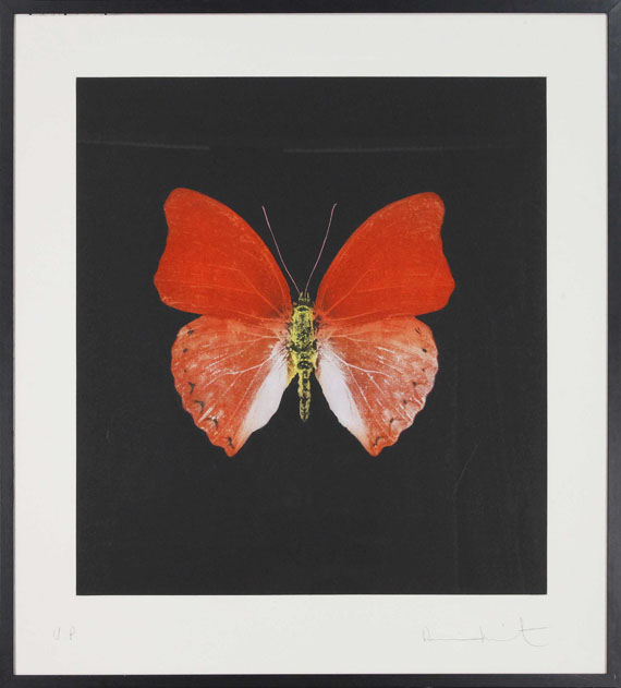 Damien Hirst - Butterfly - Cornice