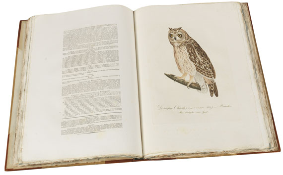 Johann Conrad Susemihl - Teutsche Ornithologie - Altre immagini